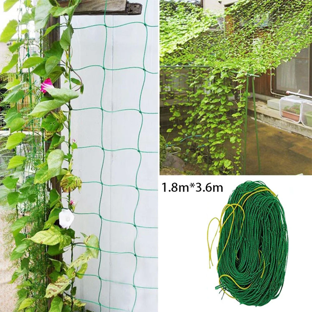 Garden Plants Climbing Net Plastic & Nylon Net Morning Glory Flower Vine Netting Support Net Grow Net Holder Garden Netting
Garden Plants Climbing Net Plastic & Nylon Net Morning Glory Flower Vine Netting Support Net Grow Net Holder Garden Netting