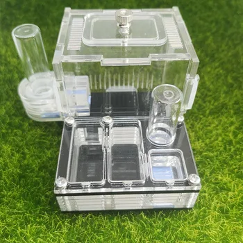 Climbing Pet Ant Farm Acrylic Plane Nest Ant Nest Ant Workshop Horizontal Stripes Hunting Sickle Ant Nest
Climbing Pet Ant Farm Acrylic Plane Nest Ant Nest Ant Workshop Horizontal Stripes Hunting Sickle Ant Nest