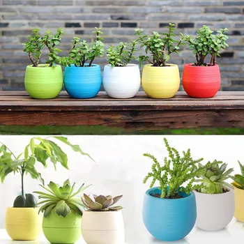 Colorful Rainbow Plastic Stone Pill Flowerpot home office garden Balcony Succulents Plants Desktop Pots Creative Small Pot
Colorful Rainbow Plastic Stone Pill Flowerpot home office garden Balcony Succulents Plants Desktop Pots Creative Small Pot