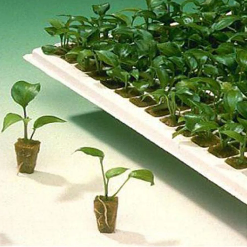 Rockwool Plant Starter Cube Ha7bdca93cab64f7ea9ed8788bd96098cV.jpg - Rockwool Plant Starter Cube