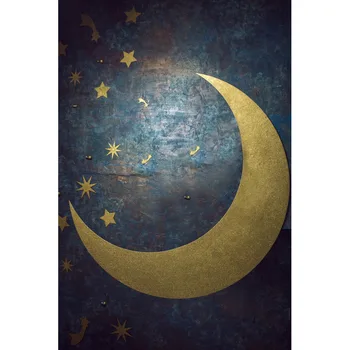 Vinyl Photography Background Night Moon Star Computed Printed newborn Children Backdrops for Photo Studio
Vinyl Photography Background Night Moon Star Computed Printed newborn Children Backdrops for Photo Studio