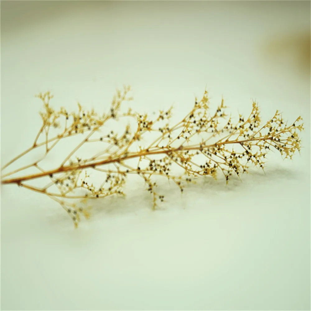 model grass07