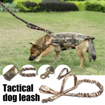 1PCS Tactical Bungee Dog Leash 2 Handle Quick Release Cat Dog Pet Leash Elastic Leads Rope Military Dog Training Leashes
1PCS Tactical Bungee Dog Leash 2 Handle Quick Release Cat Dog Pet Leash Elastic Leads Rope Military Dog Training Leashes