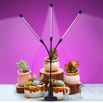 3-Head Plant Growing Lamps Adjustable Arm 60 LED Light Bulb Grow Light with Auto ON/Off 3/9/12H Intelligent Timing 10 Levels
3-Head Plant Growing Lamps Adjustable Arm 60 LED Light Bulb Grow Light with Auto ON/Off 3/9/12H Intelligent Timing 10 Levels
