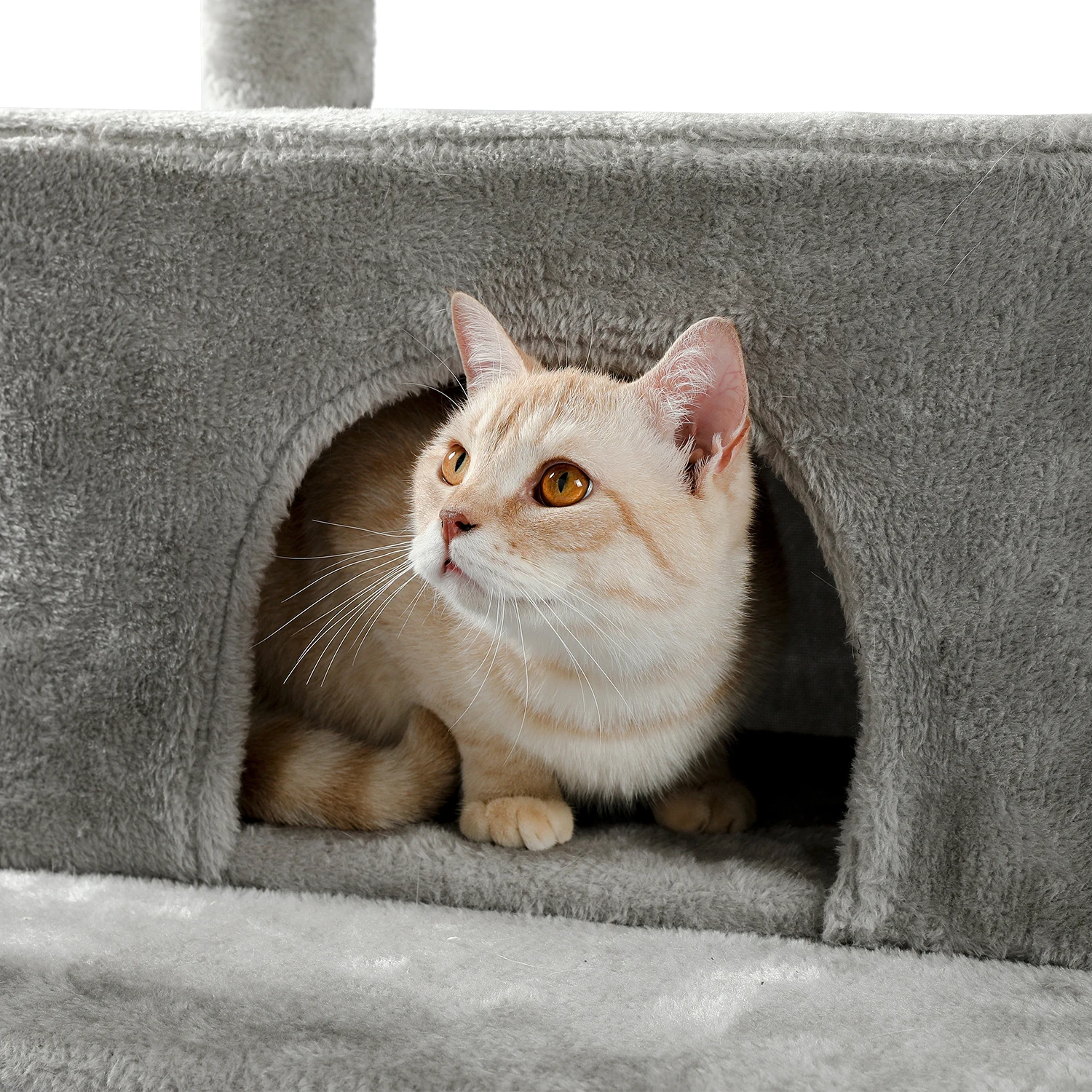 Ha7fd68880d5a4856aac8b08578419744k