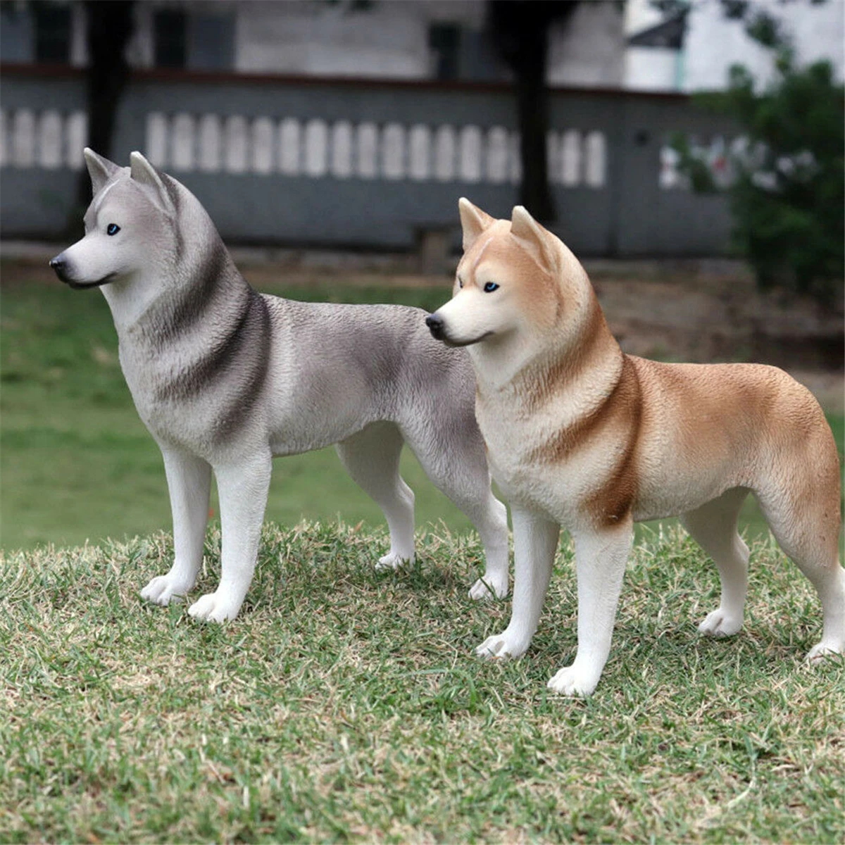 Huskie Siberian husky Dog Pet Animal Figure Model Toy Collector Decor Educational Toys Decoration Kid Birthday Gift
Huskie Siberian husky Dog Pet Animal Figure Model Toy Collector Decor Educational Toys Decoration Kid Birthday Gift