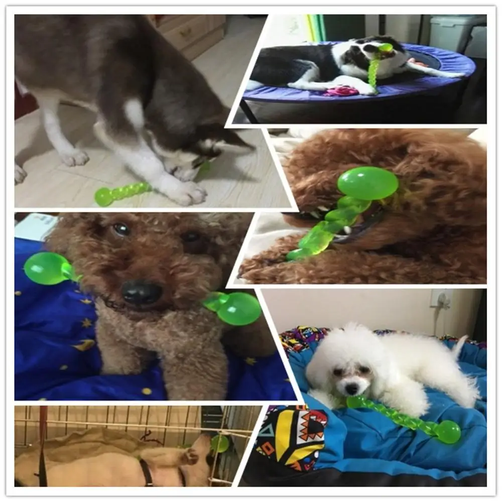 New Rubber Dog Toy Molar Tooth of The Pets Toys Bite Resistant Molars Training For Clean Toothbrush | Дом и сад