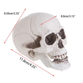 Plastic Human Mini Skull Decor Prop Skeleton Head Halloween Coffee Bars Ornament 
Plastic Human Mini Skull Decor Prop Skeleton Head Halloween Coffee Bars Ornament