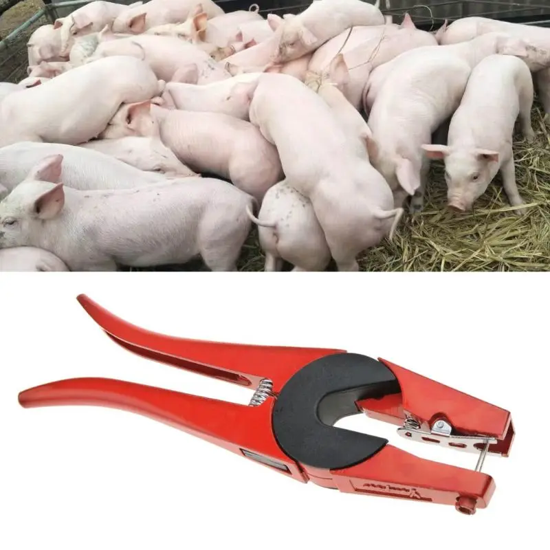 Livestock Cattle Pig Ear Tag Clamp Applicator Rabbit Sheep Ear Mark Pliers Animal Breeding and Management Tools
Livestock Cattle Pig Ear Tag Clamp Applicator Rabbit Sheep Ear Mark Pliers Animal Breeding and Management Tools