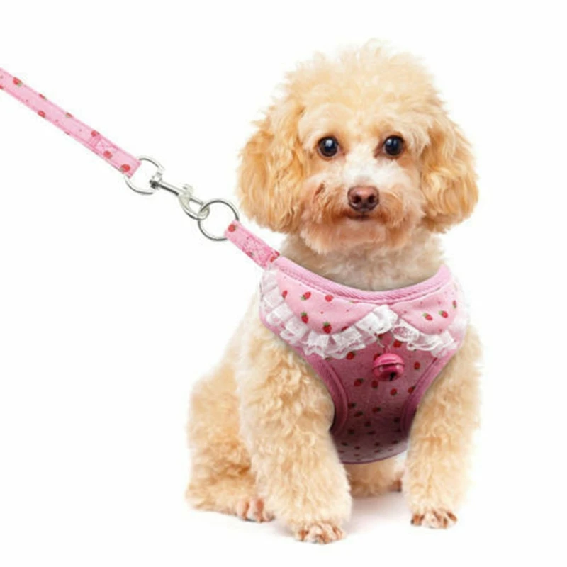 Dog Cat Harness And Leash Set Soft Mesh Puppy Kitten Vest With Bell Cute Printing For Small Medium Dogs Cats Chihuahua Yorkie
Dog Cat Harness And Leash Set Soft Mesh Puppy Kitten Vest With Bell Cute Printing For Small Medium Dogs Cats Chihuahua Yorkie