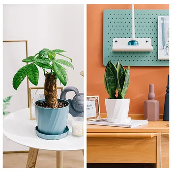 Creative Resin Succulent Thickened Plastic Flower Pot Garden Office Desk Succulent Green Dill Balcony Decorative Fflower Pot
Creative Resin Succulent Thickened Plastic Flower Pot Garden Office Desk Succulent Green Dill Balcony Decorative Fflower Pot