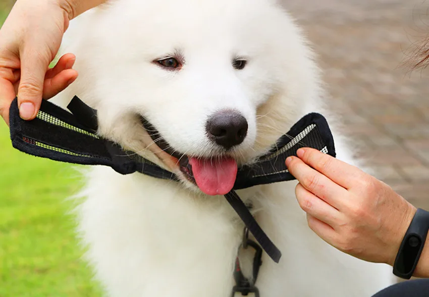 Hot Sale Soft Nylon Material Pet Mouth Mask Pet Puppy Muzzle for Small and Large Dogs
Hot Sale Soft Nylon Material Pet Mouth Mask Pet Puppy Muzzle for Small and Large Dogs