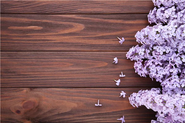 SHENGYONGBAO Art Fabric Custom Photography Backdrops Props Flower and Wood planks theme Photo Studio Background 20027-12
SHENGYONGBAO Art Fabric Custom Photography Backdrops Props Flower and Wood planks theme Photo Studio Background 20027-12