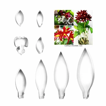 Cattleya chocolate fondant sugar flower cutters baking cake decorations Polymer Clay Cold Porcelain gumpaste tools
Cattleya chocolate fondant sugar flower cutters baking cake decorations Polymer Clay Cold Porcelain gumpaste tools