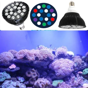 54W LED Aquarium Light Full Spectrum LED Reef Coral Aqua Lighting for Grow Marine Coral Reef Fish Tank 
54W LED Aquarium Light Full Spectrum LED Reef Coral Aqua Lighting for Grow Marine Coral Reef Fish Tank