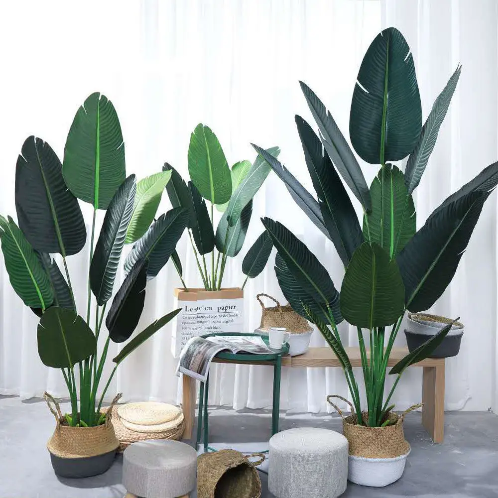 Plastic Artificial Banana Branch, Palm Leaf, Green Tropical Rare Plant, Big Pot, Family, Hotel, Home, Office Decoration
Plastic Artificial Banana Branch, Palm Leaf, Green Tropical Rare Plant, Big Pot, Family, Hotel, Home, Office Decoration