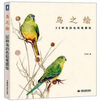 Chinese pencil drawing book 38 kinds of Birds color pencil painting textbook Tutorial art book
Chinese pencil drawing book 38 kinds of Birds color pencil painting textbook Tutorial art book