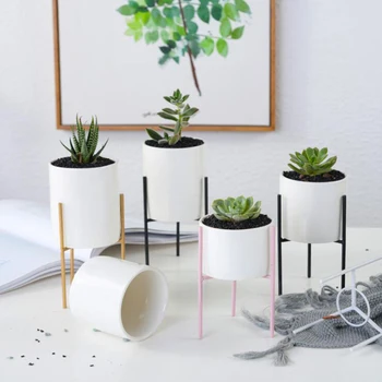 Succulent Flower Pot Planter Pot Desktop Decoration Home Bonsai Decor Horticultural Door Balcony Courtyard Garden
Succulent Flower Pot Planter Pot Desktop Decoration Home Bonsai Decor Horticultural Door Balcony Courtyard Garden