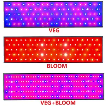 GROW LIGHT
GROW LIGHT