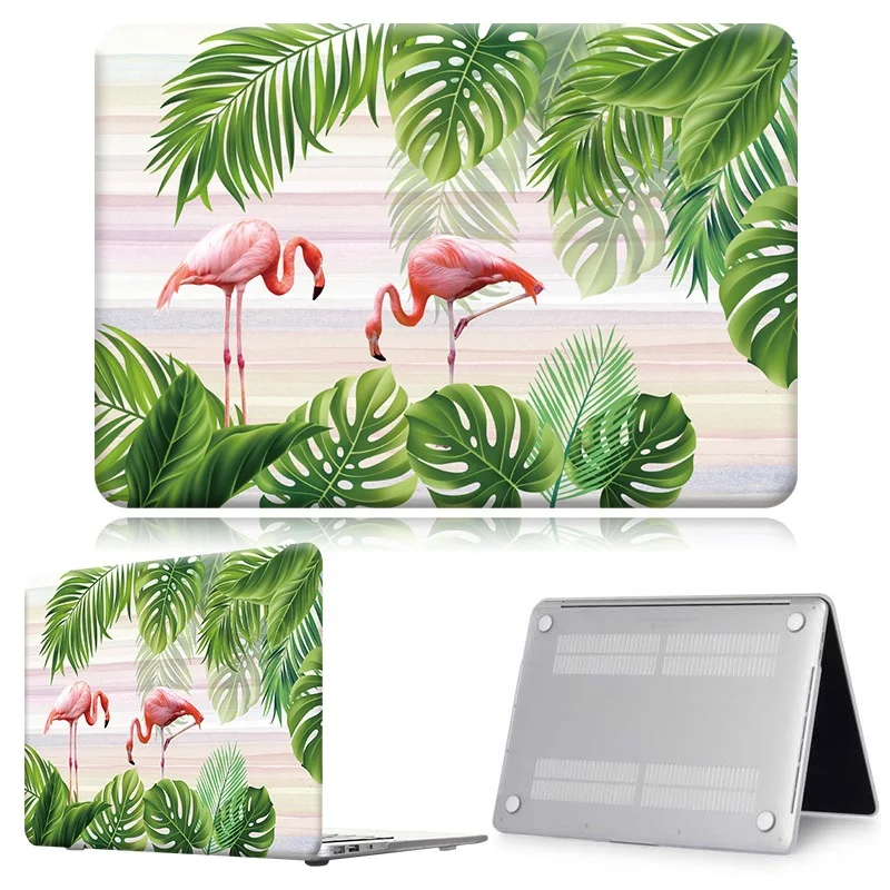 Flamingo003