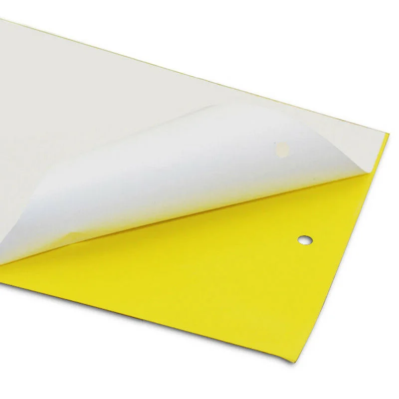 20pc Yellow Sticky Glue Paper Insect Trap Catcher Killer Fly Aphids Wasp Lot New Arrival Hot Selling
20pc Yellow Sticky Glue Paper Insect Trap Catcher Killer Fly Aphids Wasp Lot New Arrival Hot Selling