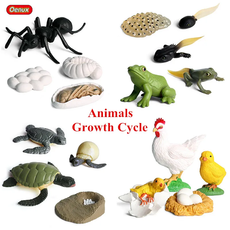 Oenux Classic Animals Growth Cycle Model Simulation Hen Ant Mosquito Action Figures Figurine Lovely Baby Educational Kids Toy
Oenux Classic Animals Growth Cycle Model Simulation Hen Ant Mosquito Action Figures Figurine Lovely Baby Educational Kids Toy