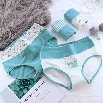 Women Panties Set High waist Women's Underwear Lingerie Cotton Underpants Comfort Briefs for Women Pants Intimates Underwear
Women Panties Set High waist Women's Underwear Lingerie Cotton Underpants Comfort Briefs for Women Pants Intimates Underwear