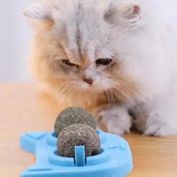 2pcs Self-adhesive Catnip Ball Set Turned Catnip Ball For Cats Wall Mount Molar Teething Toy hot
2pcs Self-adhesive Catnip Ball Set Turned Catnip Ball For Cats Wall Mount Molar Teething Toy hot