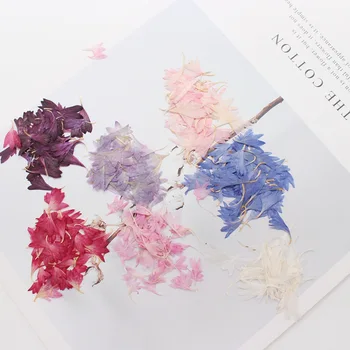 Embossing Diy Material Candle Diy Making Beautiful Petal Flower Wedding Favors And Gifts artificial dried flowers rose petals
Embossing Diy Material Candle Diy Making Beautiful Petal Flower Wedding Favors And Gifts artificial dried flowers rose petals