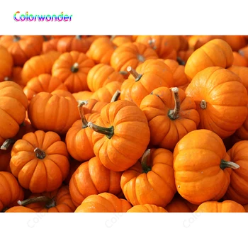 Fall Backdrops Orange Pumpkins Backgrounds Fruit Sea Childen Portrait Photocall Halloween Party Photography for Photo Studio
Fall Backdrops Orange Pumpkins Backgrounds Fruit Sea Childen Portrait Photocall Halloween Party Photography for Photo Studio