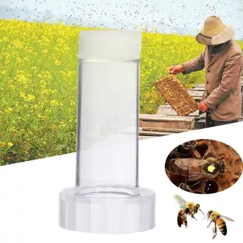 Beekeeper Bee Queen Marking Cage Marker Bottle Plunger Beekeeping Tools Set Equipment Honey Beekeeper Supplies Kits
Beekeeper Bee Queen Marking Cage Marker Bottle Plunger Beekeeping Tools Set Equipment Honey Beekeeper Supplies Kits
