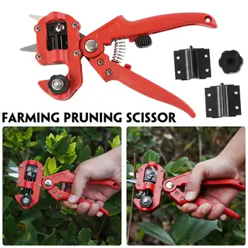 Garden Tools Grafting Pruner Chopper Vaccination Cutting Tree Plant Shears Scissor Fruit Tree grape vine Graft tool
Garden Tools Grafting Pruner Chopper Vaccination Cutting Tree Plant Shears Scissor Fruit Tree grape vine Graft tool