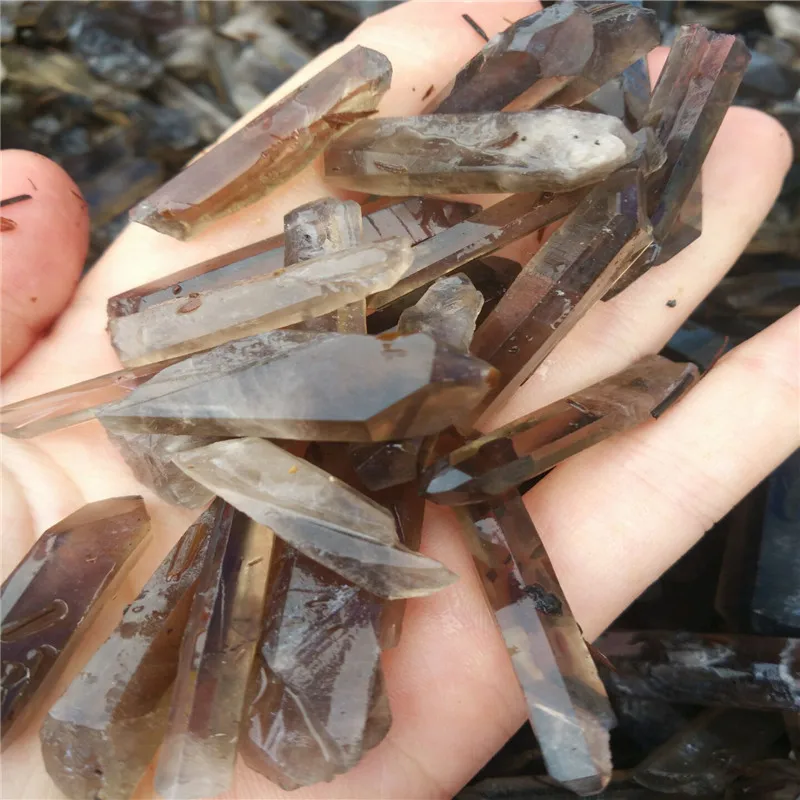 100g Natural Smoky Point Crystal gravel mineral purify degaussing Fish tank Ornamental Specimen
100g Natural Smoky Point Crystal gravel mineral purify degaussing Fish tank Ornamental Specimen