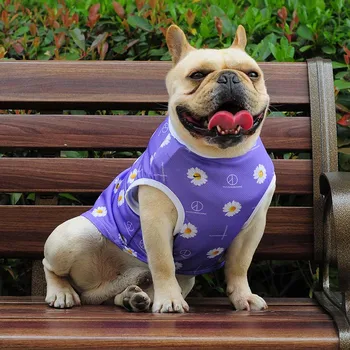 Fashionable dog clothes purple net red with the same daisy dog vest summer cool and breathable small dog pet clothes
Fashionable dog clothes purple net red with the same daisy dog vest summer cool and breathable small dog pet clothes