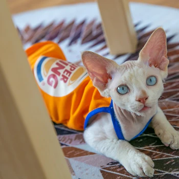 Cat Clothes Sphinx German Low-leg Stretch Summer Printed Camisole Thin Air Conditioner
Cat Clothes Sphinx German Low-leg Stretch Summer Printed Camisole Thin Air Conditioner