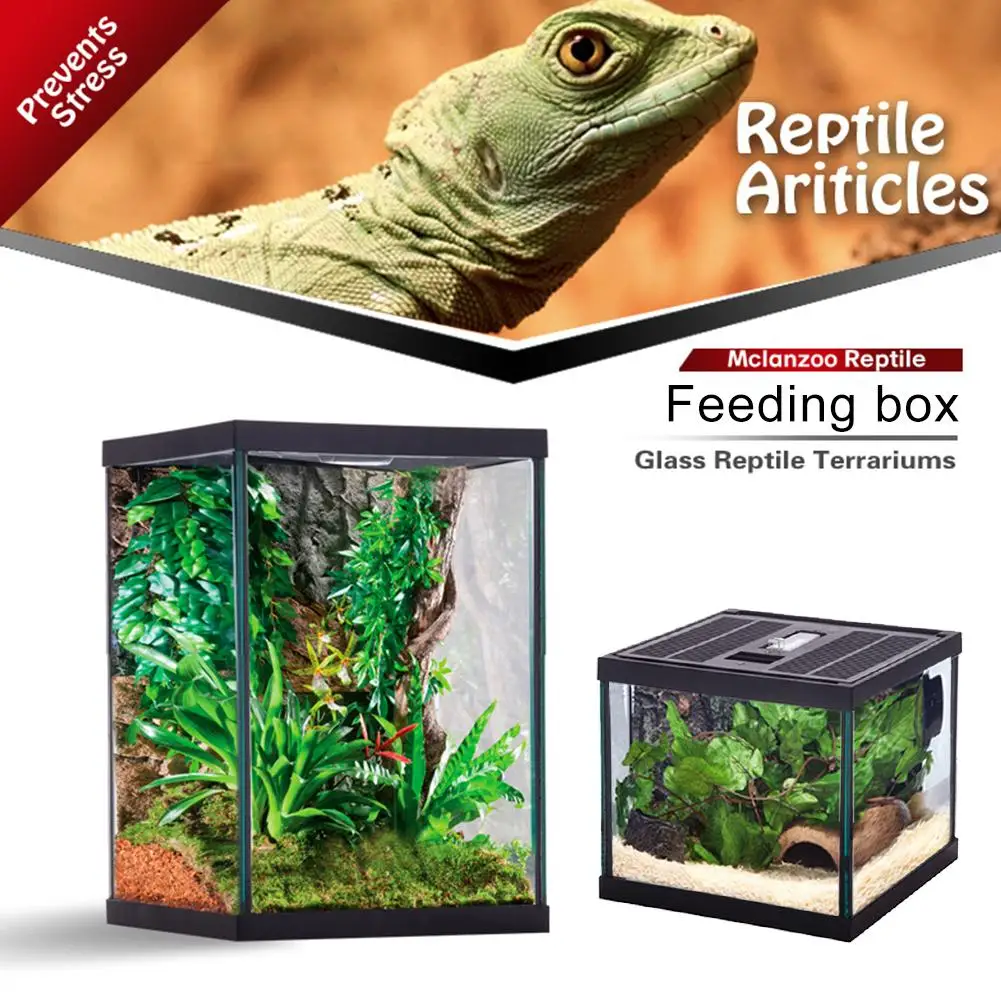Reptile Glass Terrarium Ventilated Amphibians Feeding Box Transparent Pet Turtle Gecko Horn Lizard Insect Frog Climbing Case
Reptile Glass Terrarium Ventilated Amphibians Feeding Box Transparent Pet Turtle Gecko Horn Lizard Insect Frog Climbing Case