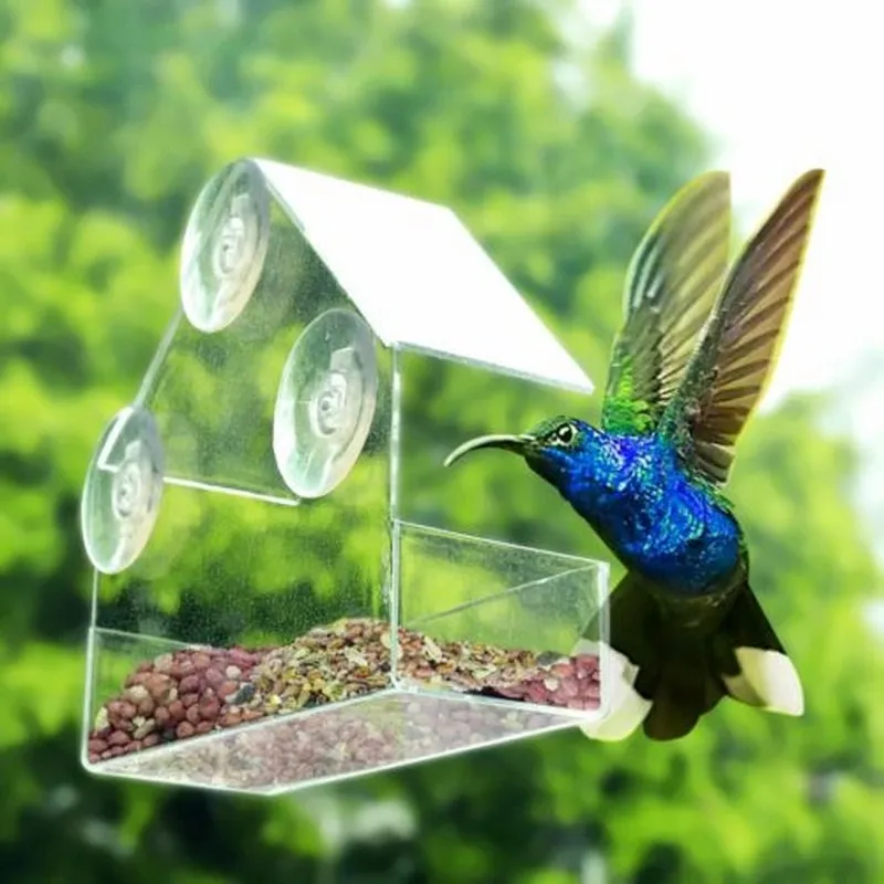 Clear Plastic Bird Feeder Container Window Durable and Clear Hanging with 3 Extra Large Suction Cups Outdoor Type Bird Feeder
Clear Plastic Bird Feeder Container Window Durable and Clear Hanging with 3 Extra Large Suction Cups Outdoor Type Bird Feeder