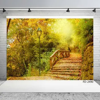 Autumn Forest Rock Path Fallen Leaves Woods Scenery Portrait Child Photography Background Photographic Backdrop For Photo Studio 
Autumn Forest Rock Path Fallen Leaves Woods Scenery Portrait Child Photography Background Photographic Backdrop For Photo Studio