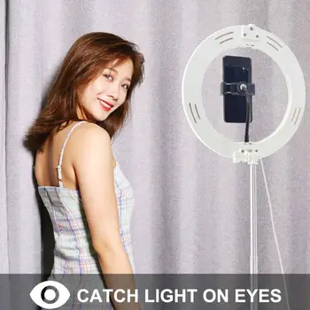 PULUZ Selfie Fill Light Adjustable Light LED Temperature LED Curved Circular Photography Lamp for Studio Home 26cm
PULUZ Selfie Fill Light Adjustable Light LED Temperature LED Curved Circular Photography Lamp for Studio Home 26cm