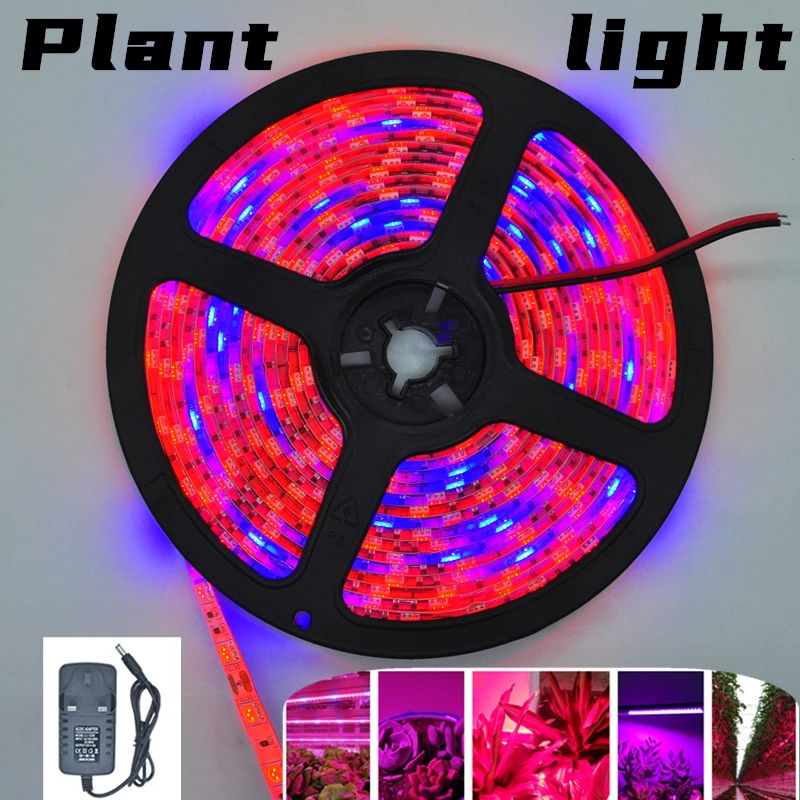 LED Strip Plant Grow lights 1m 2m 3m Full Spectrum Flower phyto lamp DC 5V Red and Blue Light Bar indoor 
LED Strip Plant Grow lights 1m 2m 3m Full Spectrum Flower phyto lamp DC 5V Red and Blue Light Bar indoor