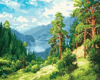 Frameless diy paintings by numbers paint by number for home decor oil picture painting 5065cm forest
Frameless diy paintings by numbers paint by number for home decor oil picture painting 5065cm forest