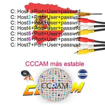 1 Year Spain portugal cccams for Satellite Receiver lines WIFI FULL HD DVB-S2 Eroupe 8/7 lines ccams for gtmedia v7s
1 Year Spain portugal cccams for Satellite Receiver lines WIFI FULL HD DVB-S2 Eroupe 8/7 lines ccams for gtmedia v7s