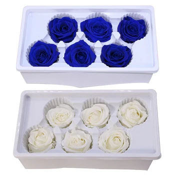 12 Pcs Eternal Roses Heads,Real Natural Fresh Preserved Rose,Forever Rose,Immortal Flower Material , 6 Pcs White & 6 Pcs Blue 
12 Pcs Eternal Roses Heads,Real Natural Fresh Preserved Rose,Forever Rose,Immortal Flower Material , 6 Pcs White & 6 Pcs Blue