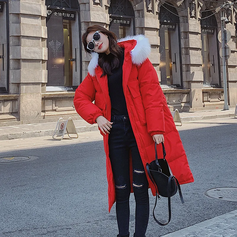 2019 New Style down Jacket Cotton-padded Clothes Women's Korean-style Long Large Fur Collar Cotton-padded Clothes INS Online Cel
2019 New Style down Jacket Cotton-padded Clothes Women's Korean-style Long Large Fur Collar Cotton-padded Clothes INS Online Cel