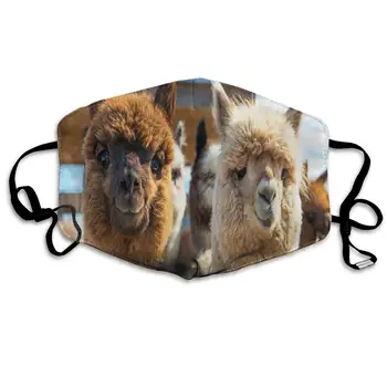 Dustproof Washable Reusable Funny Lama Alpaca Mouth Cover Mask Respirator Germ Protective Warm Windproof Mask 
Dustproof Washable Reusable Funny Lama Alpaca Mouth Cover Mask Respirator Germ Protective Warm Windproof Mask