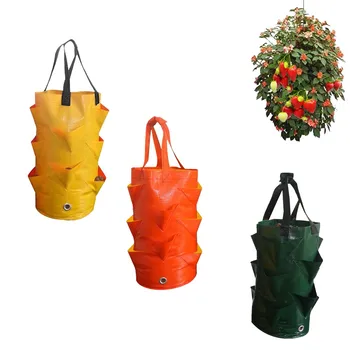 Multi-mouth Container Bag Planter Pouch Plant Growing Pot Side vegetable popato planter pouch tools solid home gardening 2020
Multi-mouth Container Bag Planter Pouch Plant Growing Pot Side vegetable popato planter pouch tools solid home gardening 2020