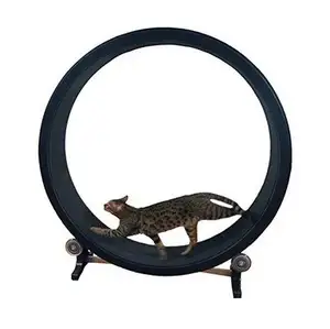 cheap cat wheel