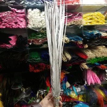 Wholesale 500 Pcs Pretty Silver Pheasants Feathers 16-18inches/40-45cm DIY Stage Performances Decoration Clothing Accessories
Wholesale 500 Pcs Pretty Silver Pheasants Feathers 16-18inches/40-45cm DIY Stage Performances Decoration Clothing Accessories