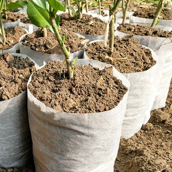 Growing Box Round Pot Container 5xPotato Grow Bag with Handle Non-woven Fabric Plant Growth Round Seedling Pots
Growing Box Round Pot Container 5xPotato Grow Bag with Handle Non-woven Fabric Plant Growth Round Seedling Pots