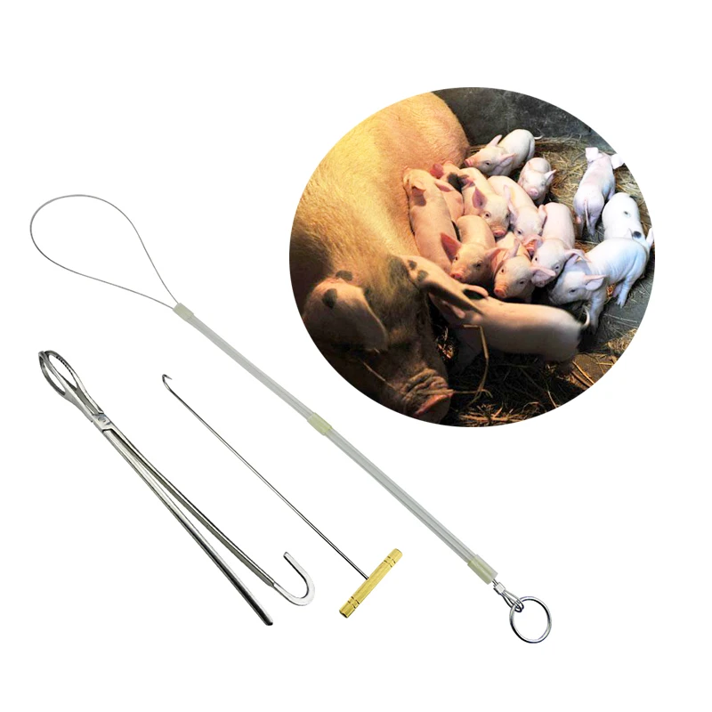 Livestock Pig delivery toolkit midwifery 3 sets hook Pliers rope Farm tools for pig sheep Practical Equipments
Livestock Pig delivery toolkit midwifery 3 sets hook Pliers rope Farm tools for pig sheep Practical Equipments